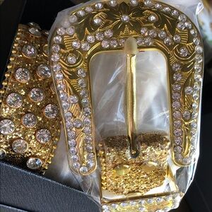 Gold and Silver Embellished Belt